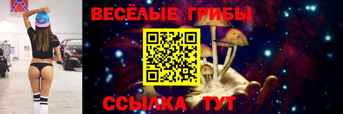 Галлюциногенные грибы ЛСД Тимашёвск